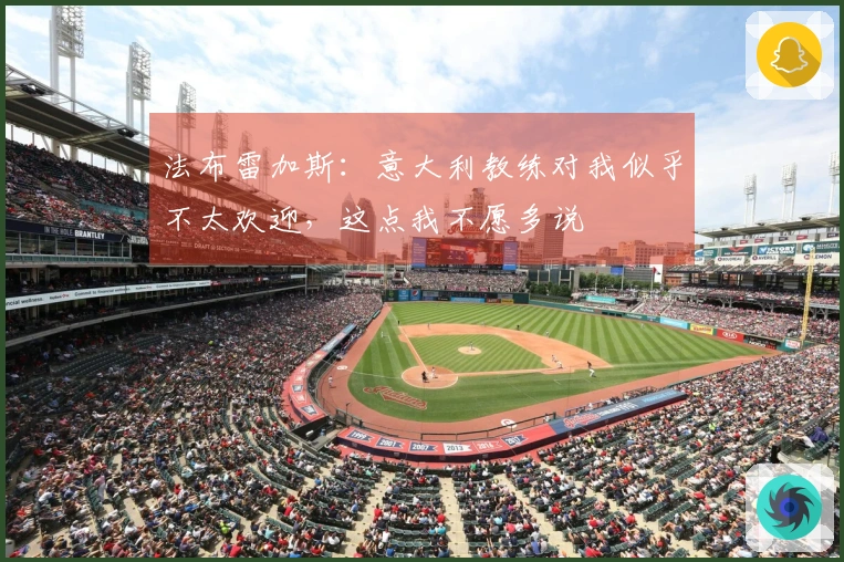 法布雷加斯：意大利教练对我似乎不太欢迎，这点我不愿多说